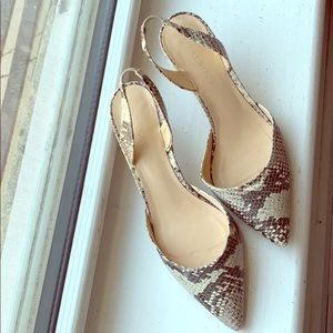 Talbots leather snake skin short heel